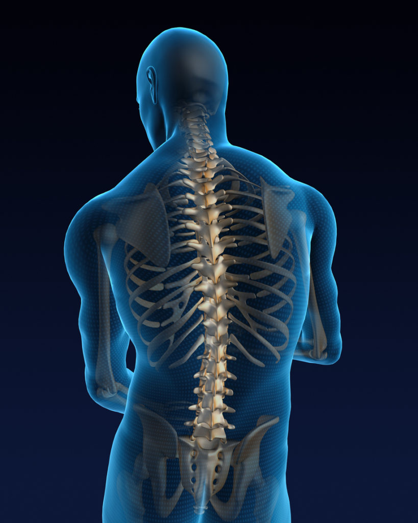 Spine Surgery and Recovery